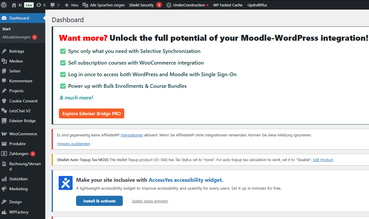 WordPress Dashboard mit Menüleiste links und Arbeitsbereich in der Mitte